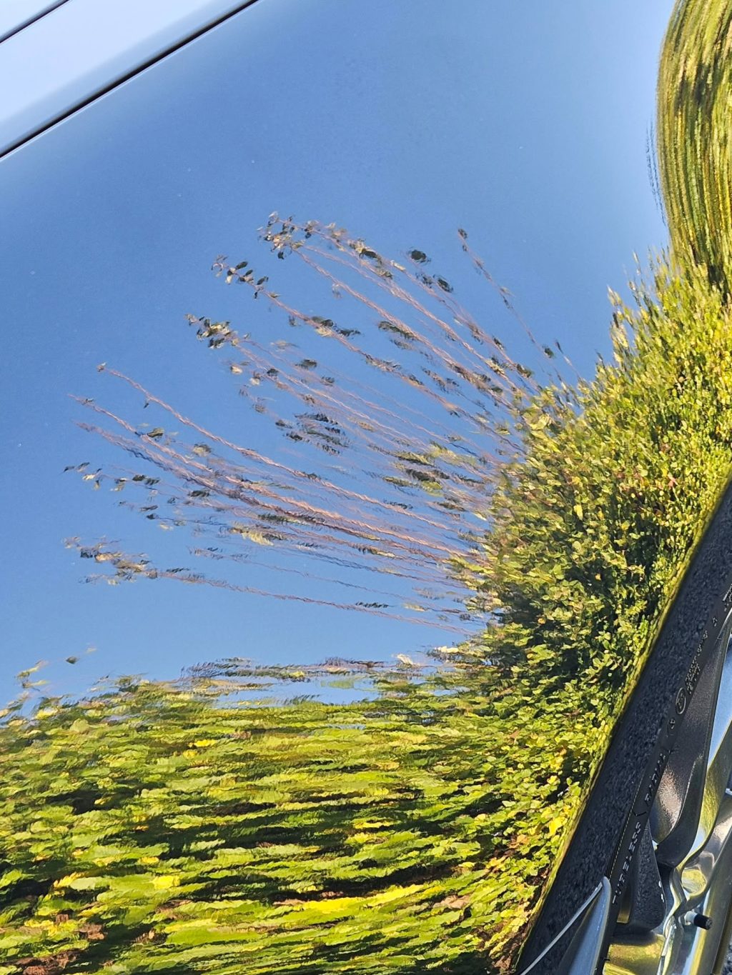 Instagram post from zeusdetailingauto. This post is in position 9.